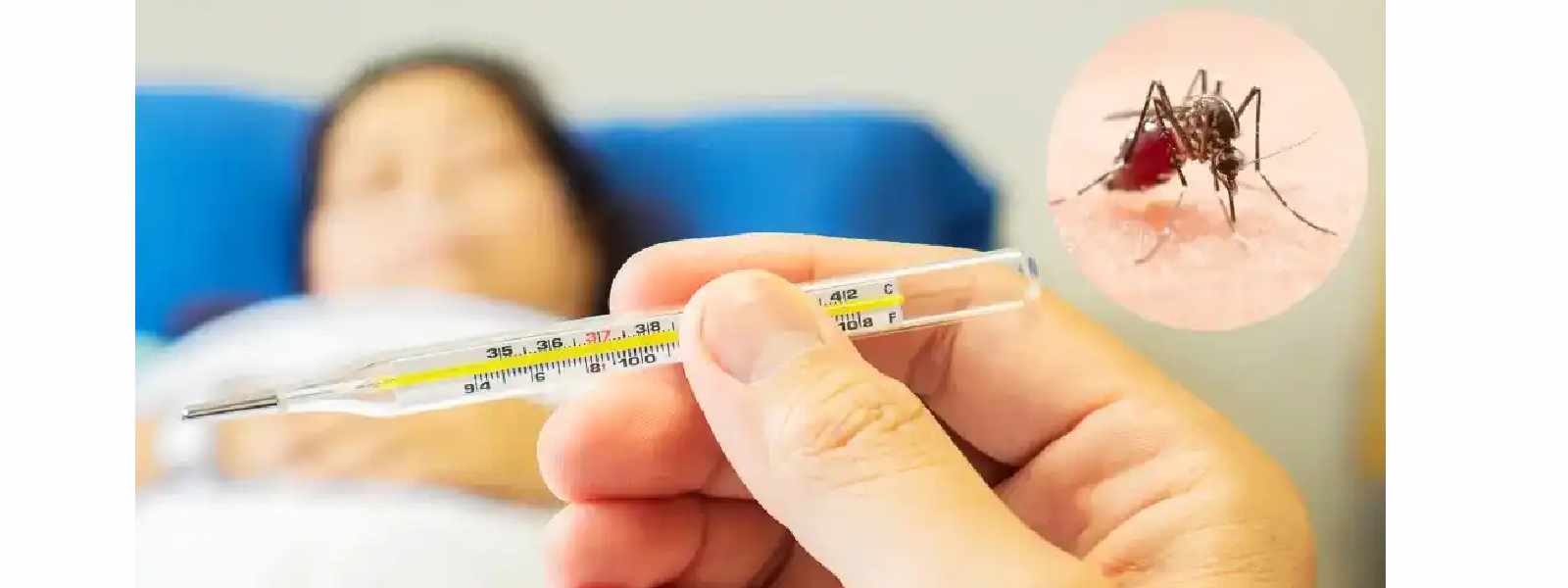 ඩෙංගු රෝගීන් වාර්තා වීමේ වර්ධනයක්